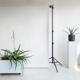 arden_studio_anything_possible_institute_branding_01