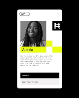 rden_studio_anything_possible_institute_api_branding_10 