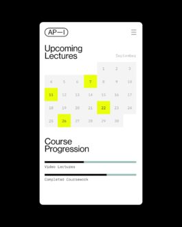 rden_studio_anything_possible_institute_api_branding_11 