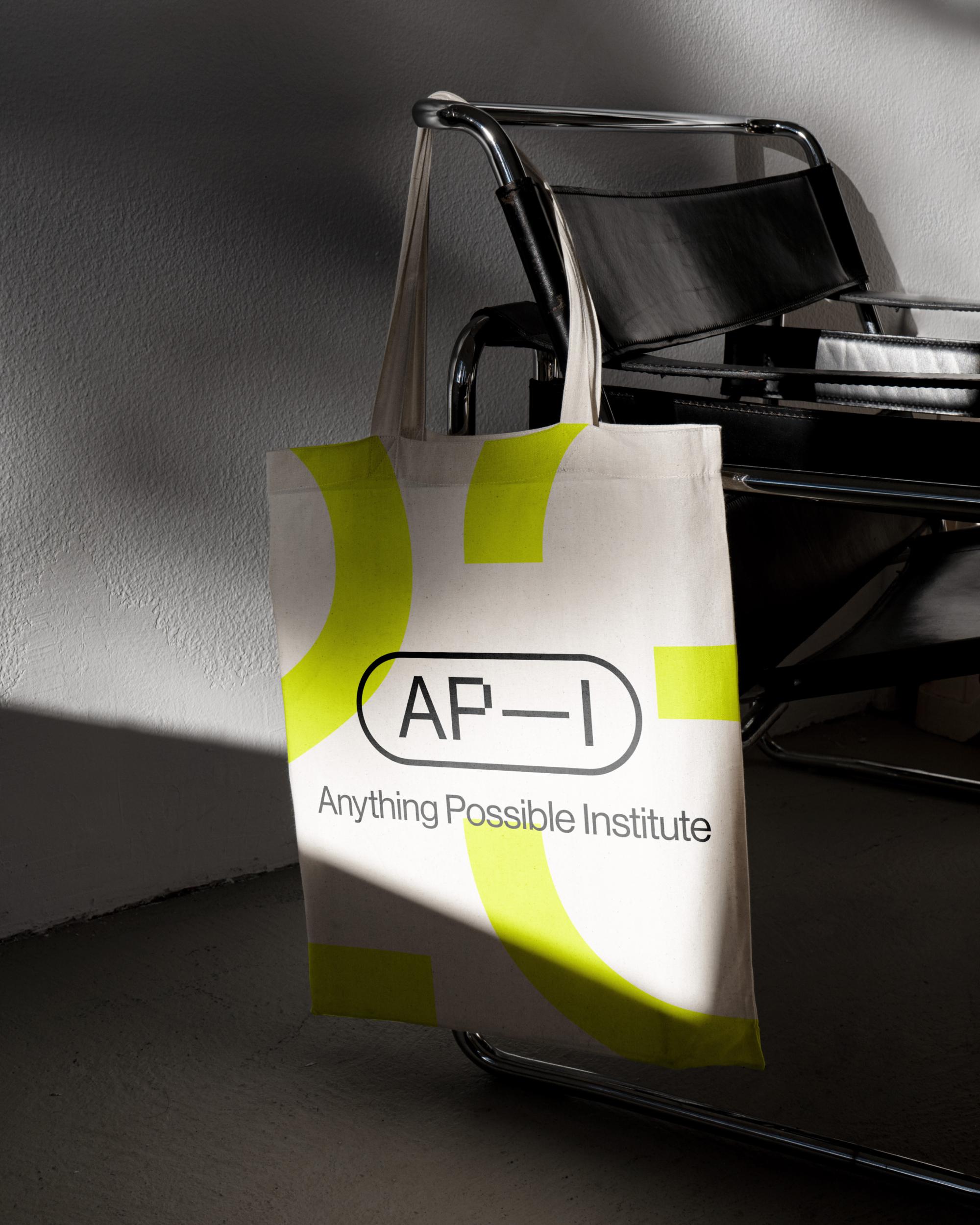 rden_studio_anything_possible_institute_api_branding_16 