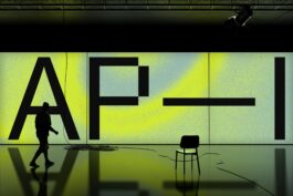 rden_studio_anything_possible_institute_api_branding_18 