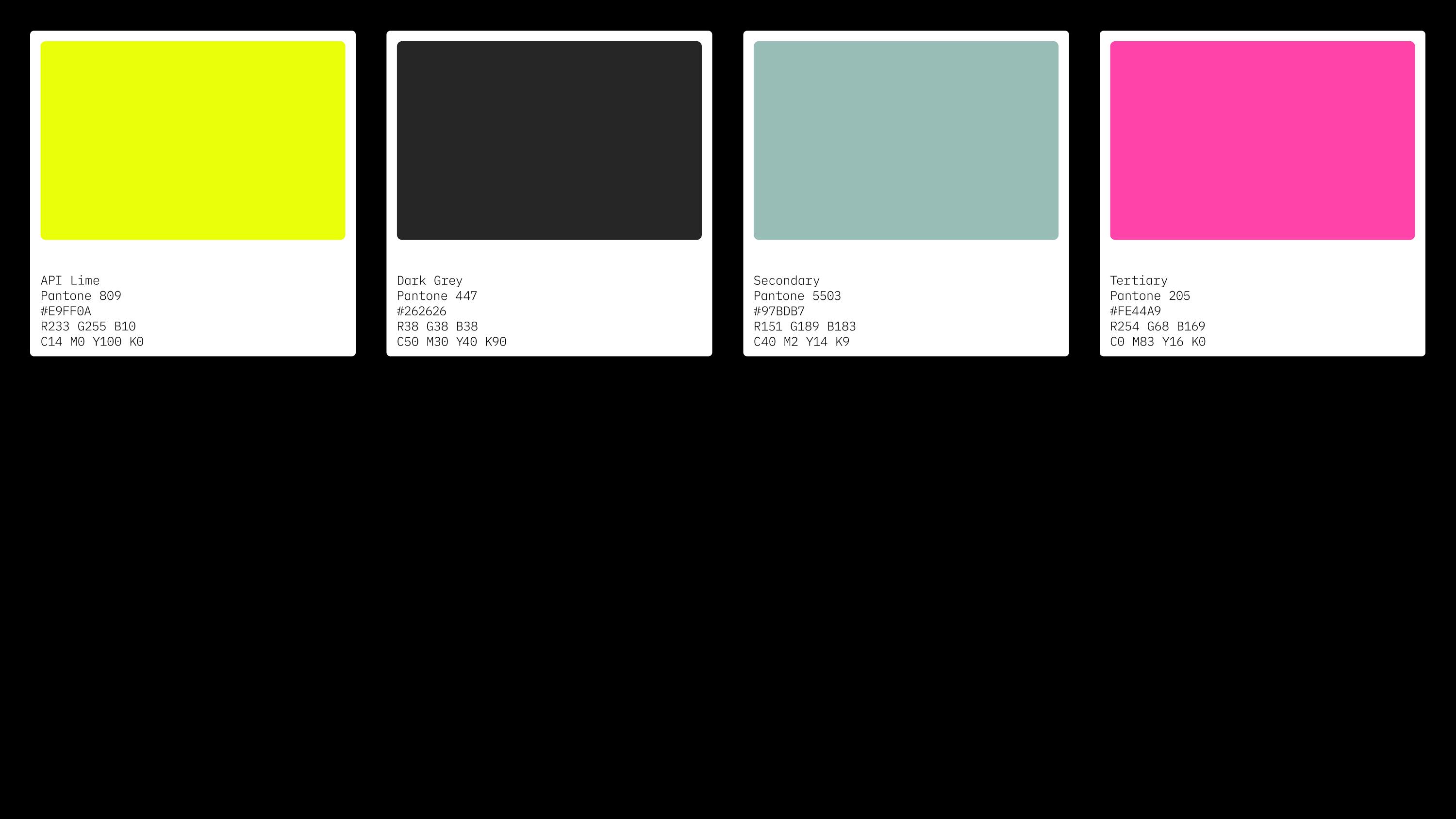 rden_studio_anything_possible_institute_api_branding_25 