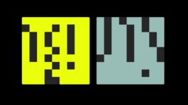 rden_studio_anything_possible_institute_api_branding_27 