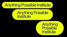 rden_studio_anything_possible_institute_api_branding_28 
