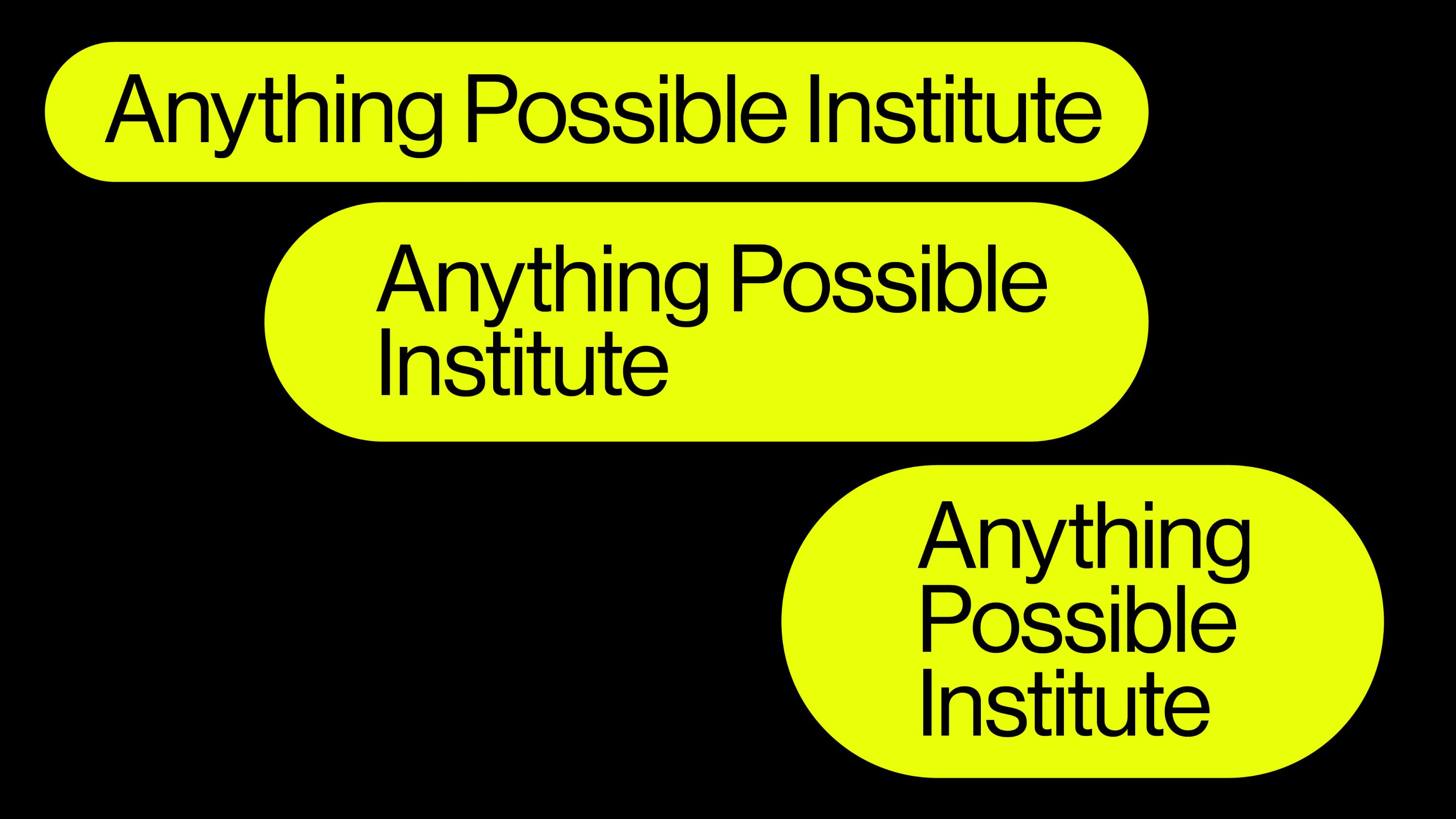 rden_studio_anything_possible_institute_api_branding_28 