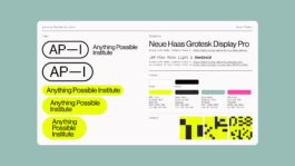 rden_studio_anything_possible_institute_api_branding_29 