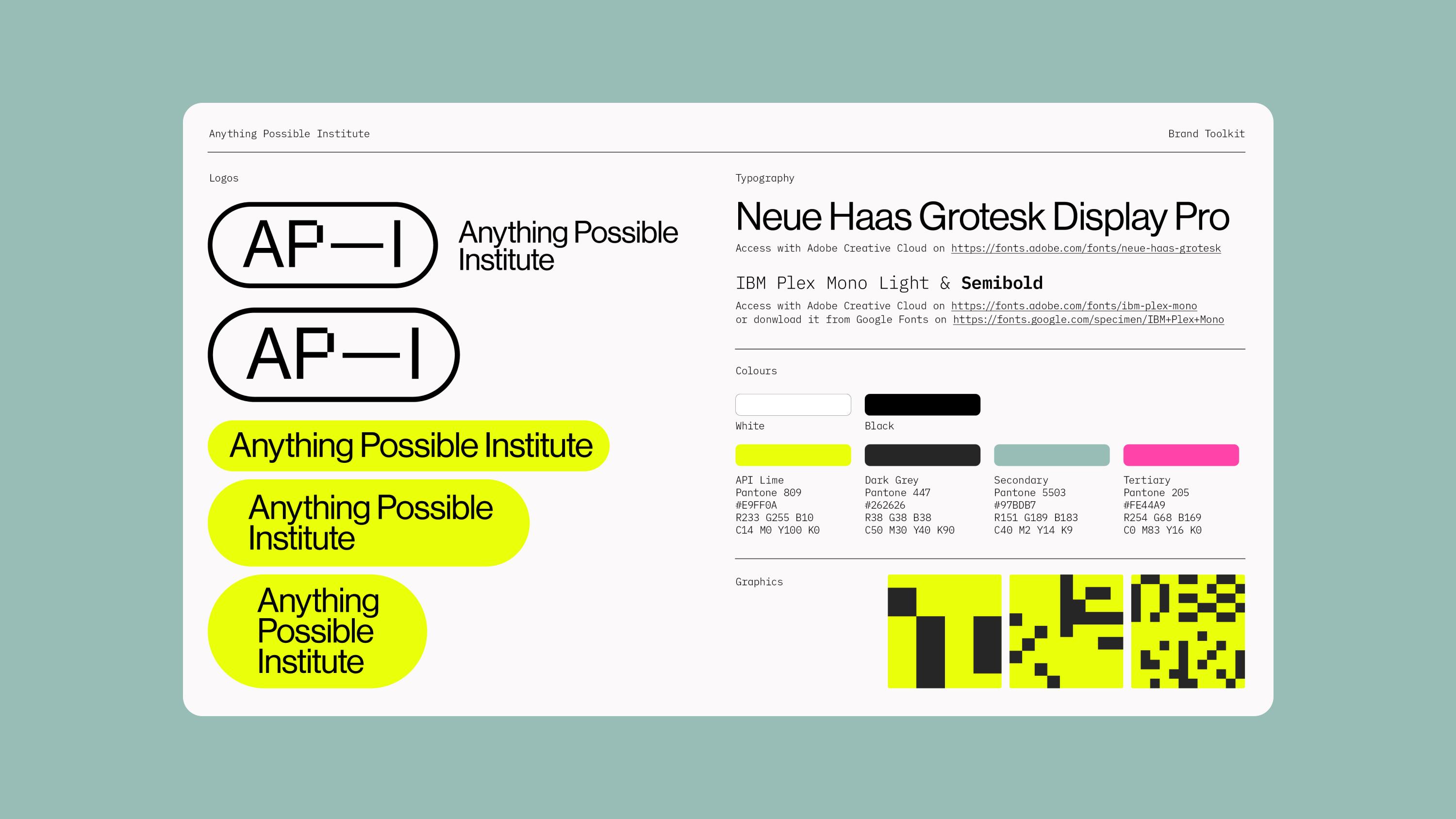 rden_studio_anything_possible_institute_api_branding_29 