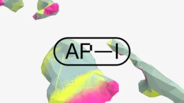 rden_studio_anything_possible_institute_api_branding_30 