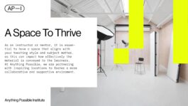 rden_studio_anything_possible_institute_api_branding_32 