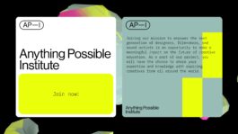 rden_studio_anything_possible_institute_api_branding_33 