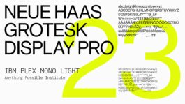 rden_studio_anything_possible_institute_api_branding_36 