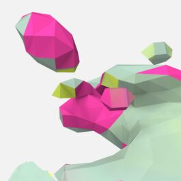 rden_studio_anything_possible_institute_api_branding_43 