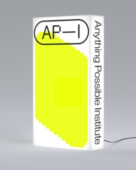 rden_studio_anything_possible_institute_api_branding_5 