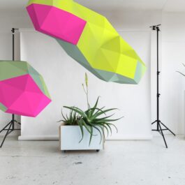 rden_studio_anything_possible_institute_api_branding_58 