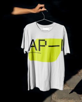 rden_studio_anything_possible_institute_api_branding_6 