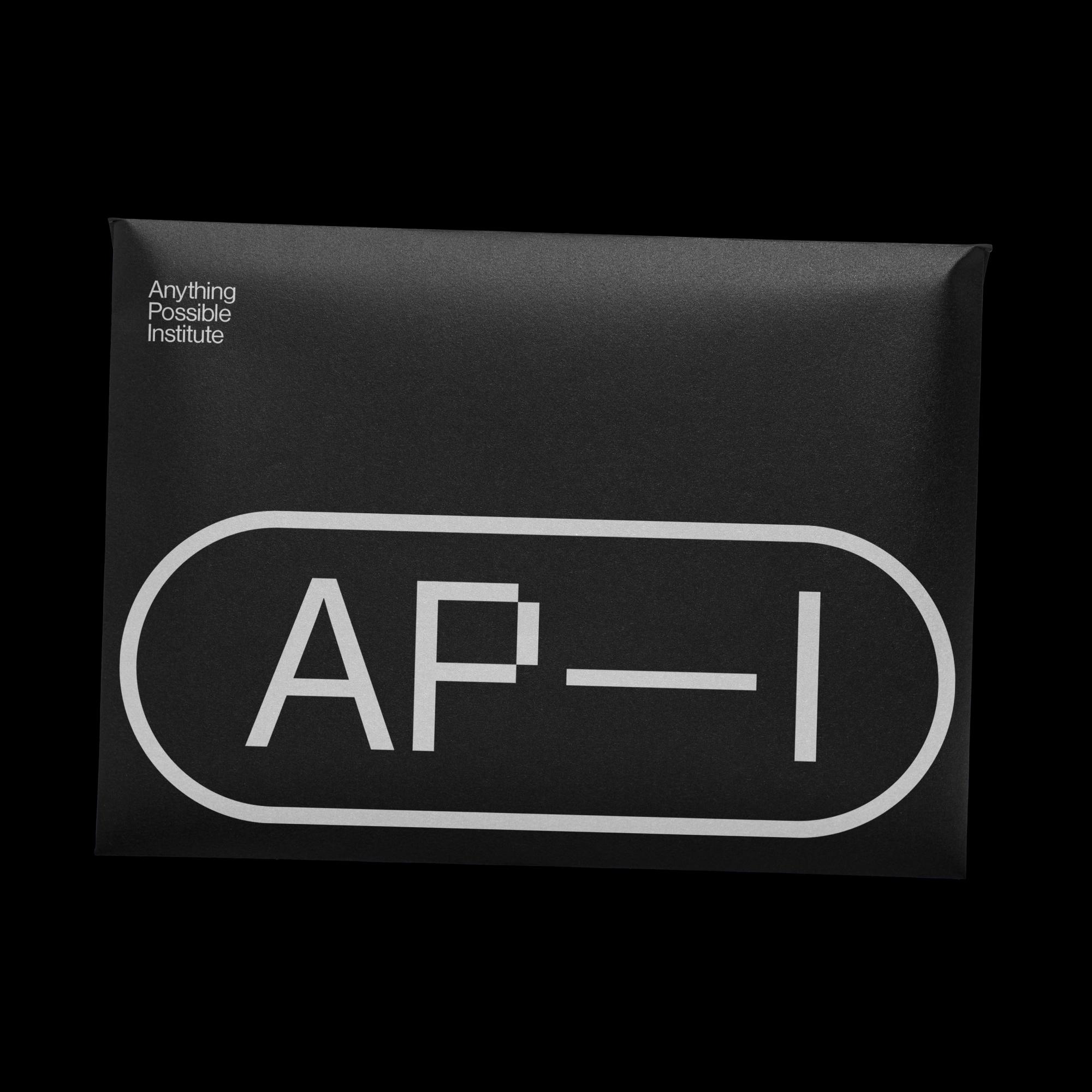 rden_studio_anything_possible_institute_api_branding_62 