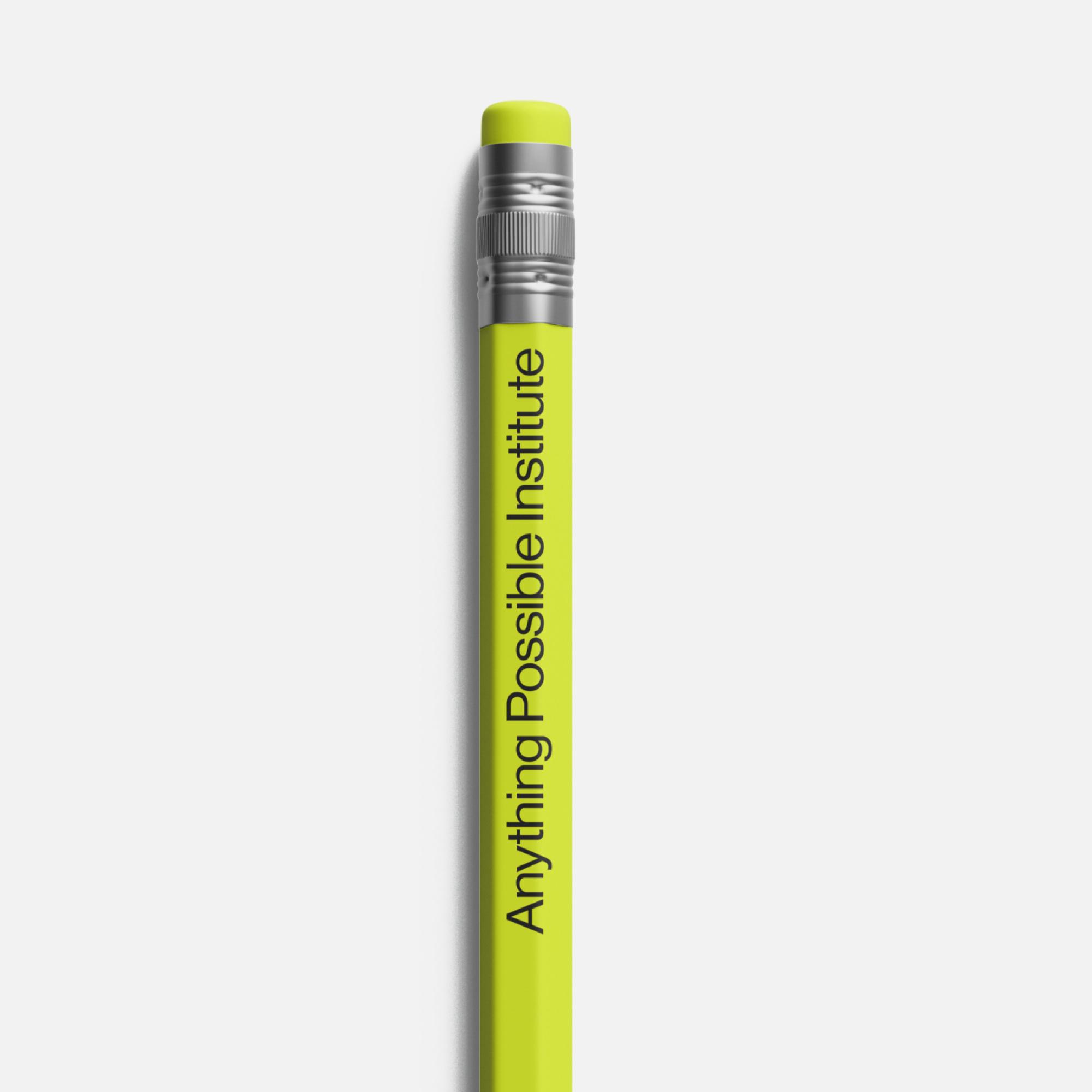 rden_studio_anything_possible_institute_api_branding_63 