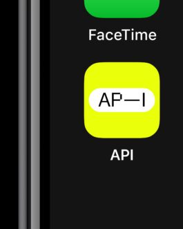 rden_studio_anything_possible_institute_api_branding_7 