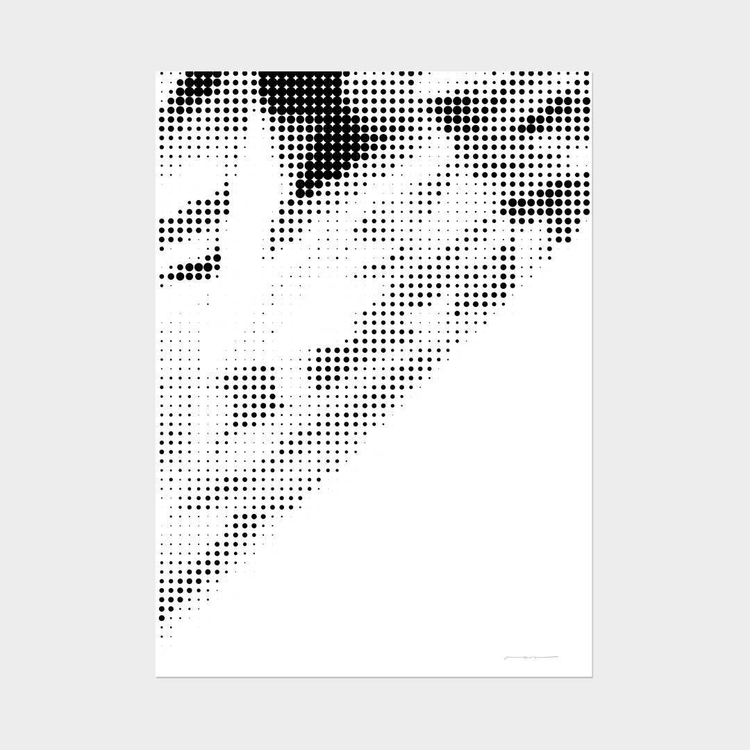 arden_studio_garden_omar_careaga_wip_1_187