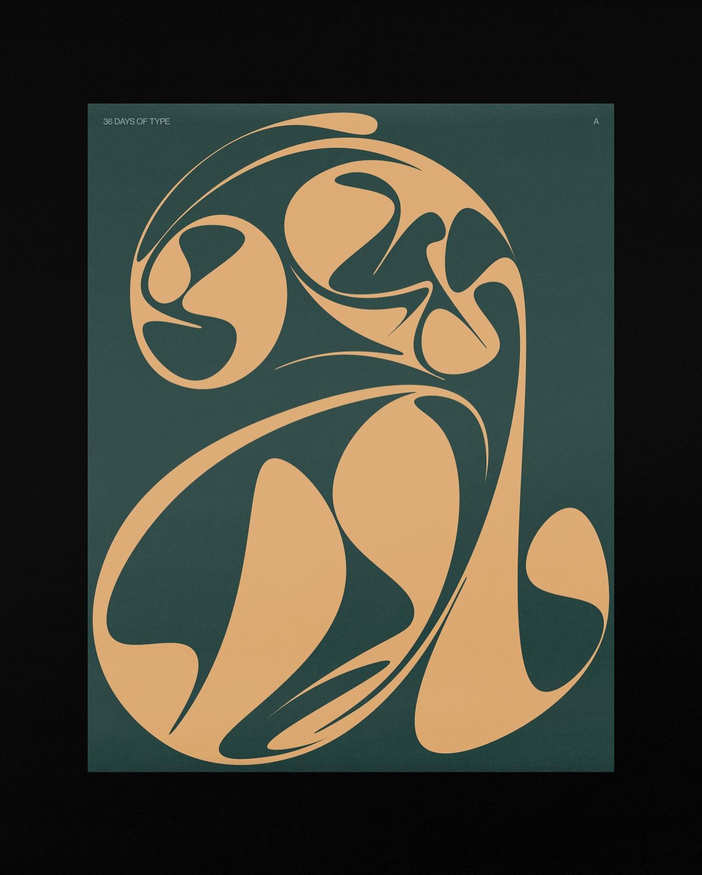arden_studio_garden_omar_careaga_wip_1_271