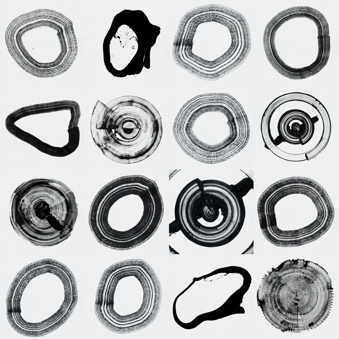 arden_studio_garden_omar_careaga_wip_1_297