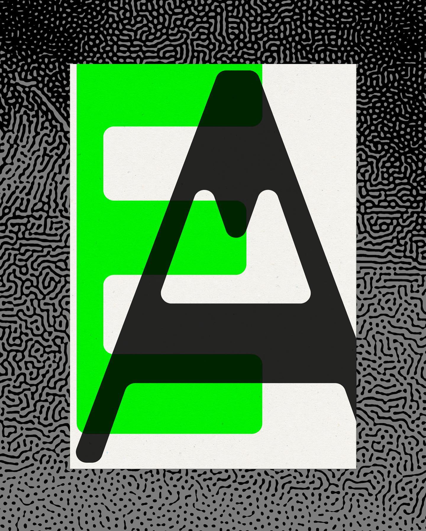 arden_studio_garden_omar_careaga_wip_1_397
