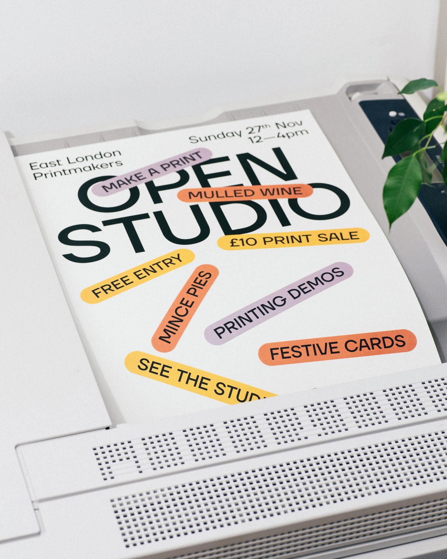 arden_studio_garden_omar_careaga_wip_1_430