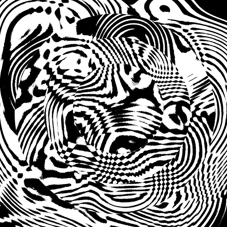 arden_studio_garden_omar_careaga_wip_1_9