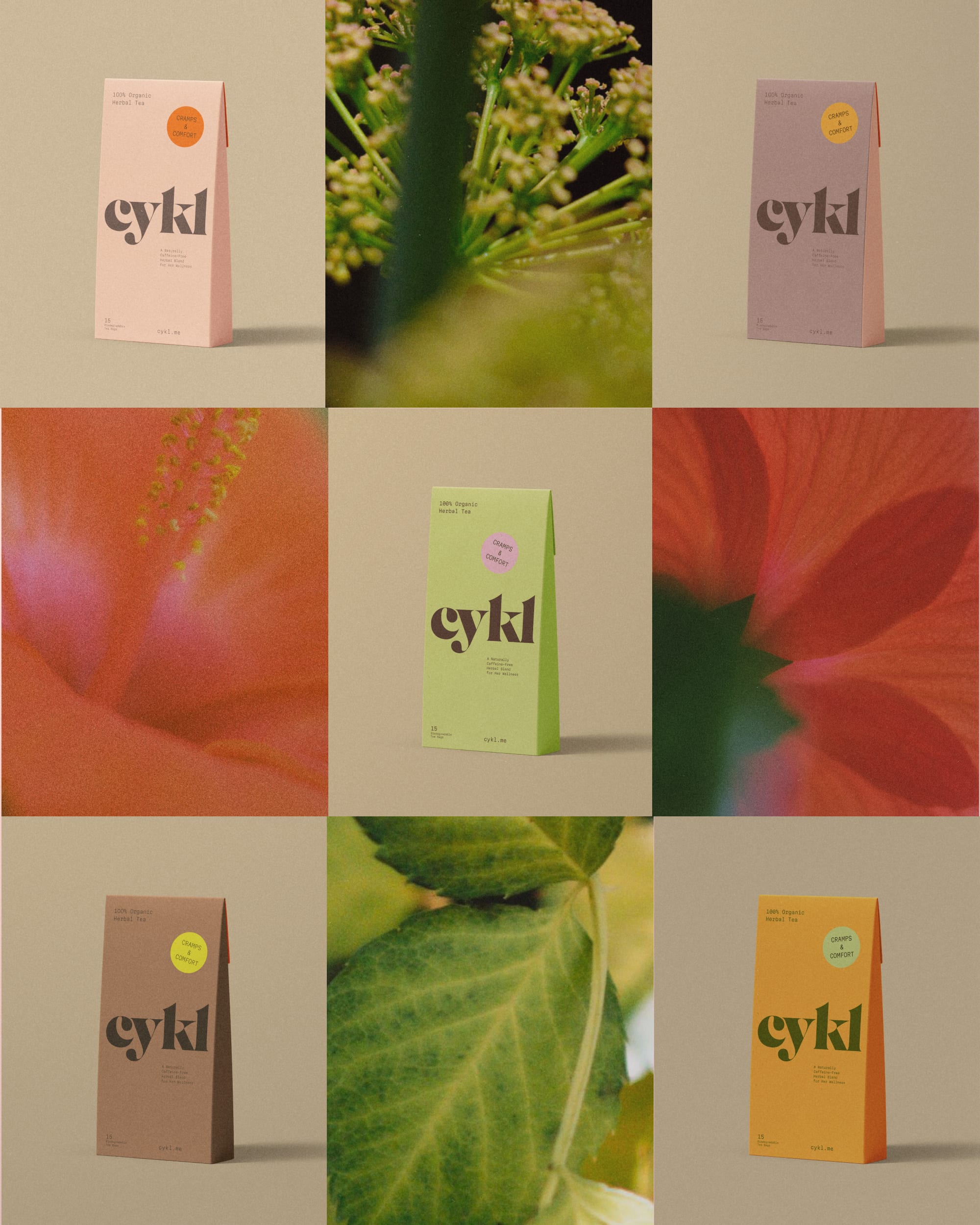 Arden Studio